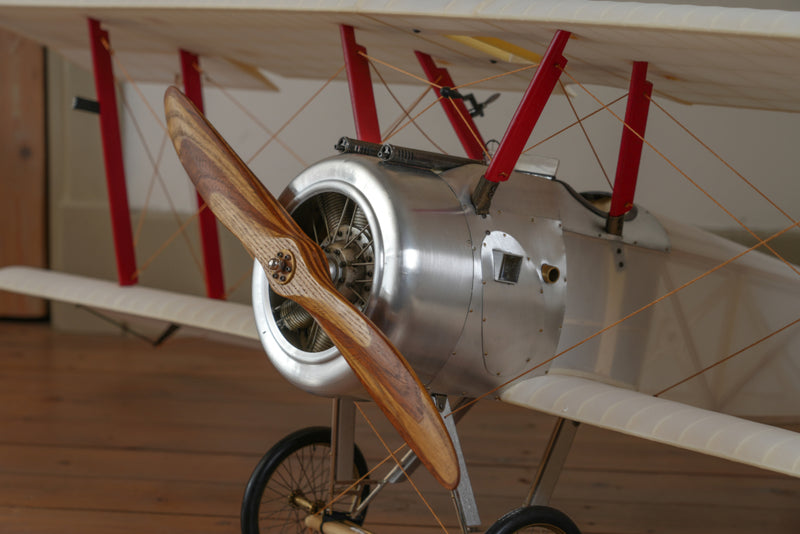 Modelos auténticos Sopwith Camel, transparente, modelo de avión de 2.5m